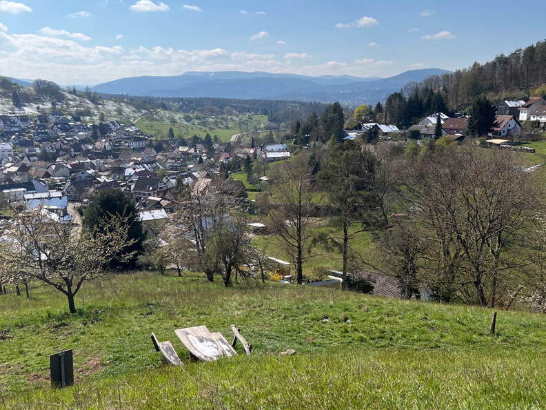 22-04-04 12-12-51 0363